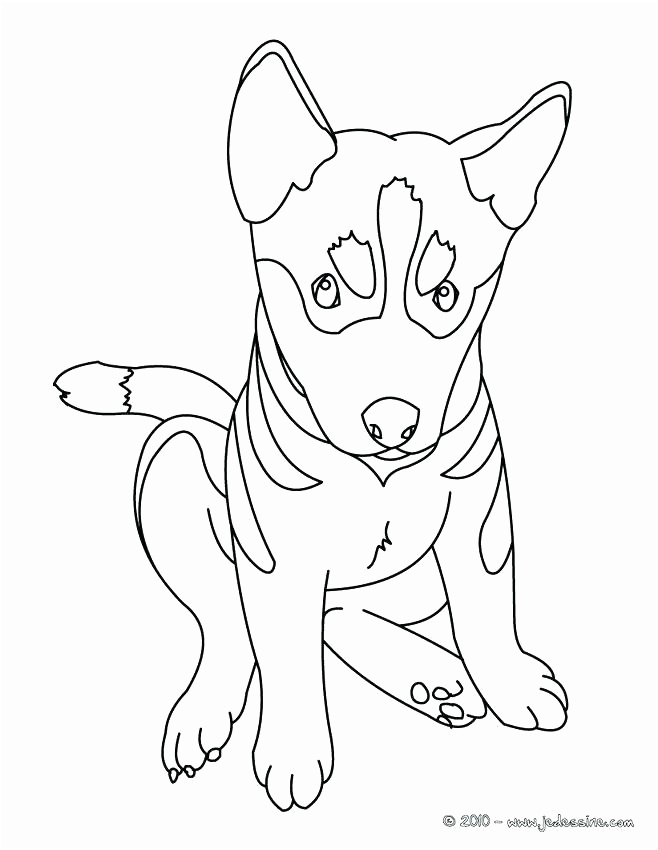 ment dessiner un chien mignon inspirant coloriage chien et chat a imprimer pontiacgtoinfo coloriage chien