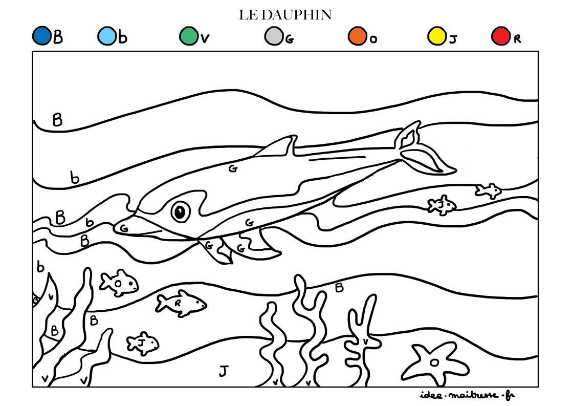 coloriage code le dauphin