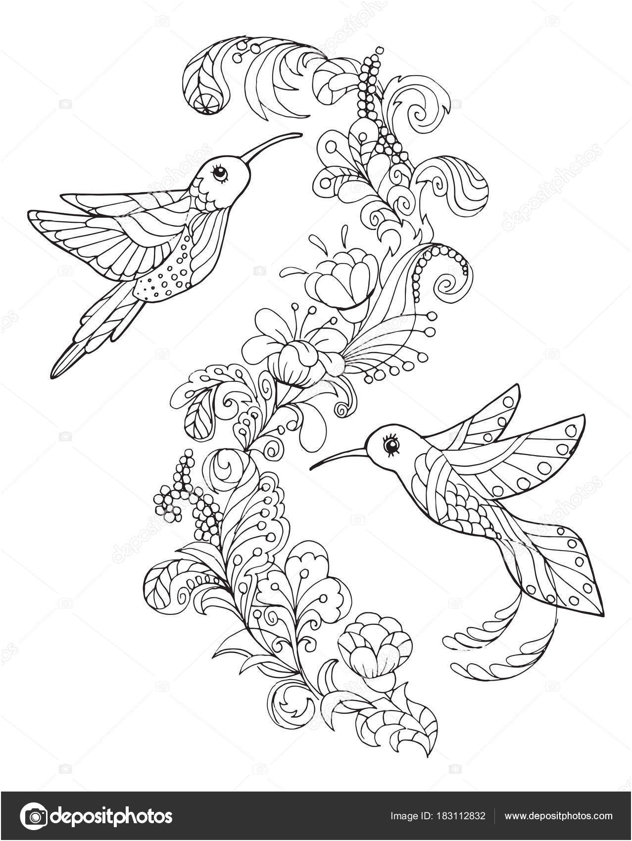 coloriage colibri