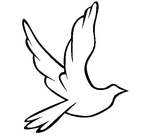 colombe de la paix en plein vol