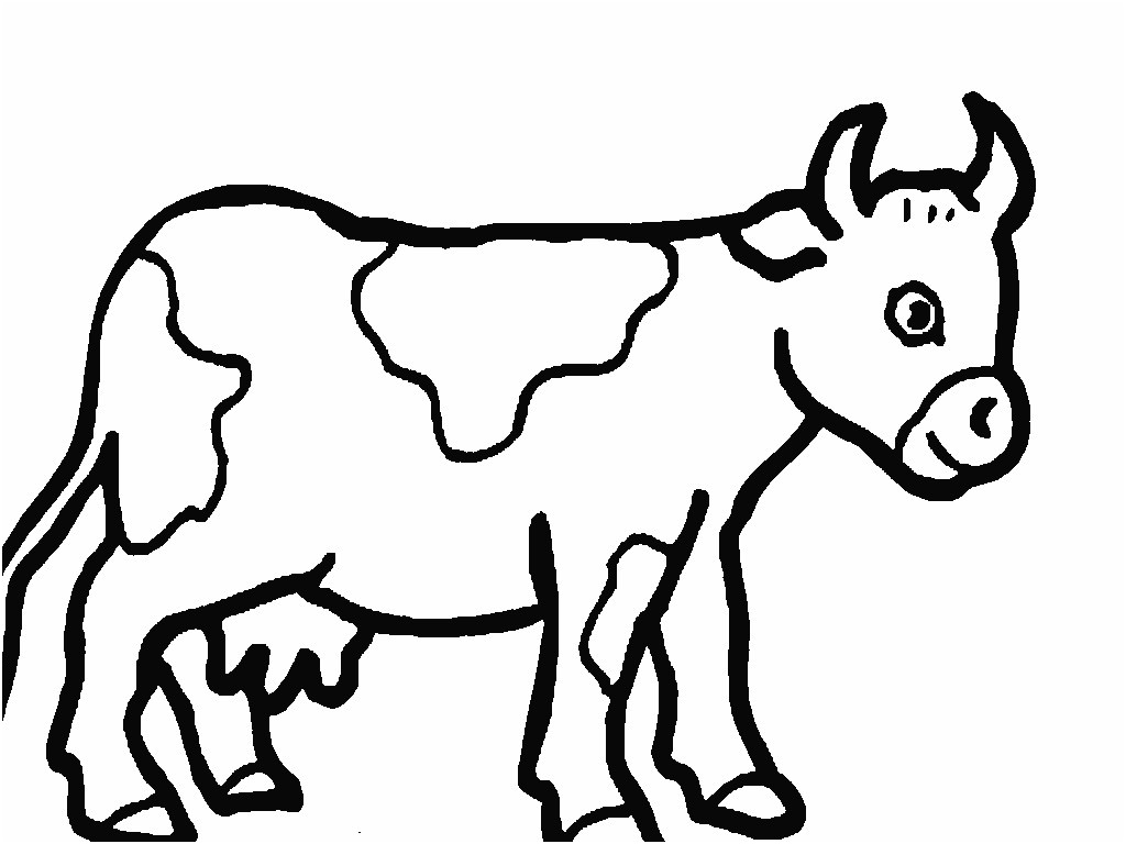 pictures of cows to color