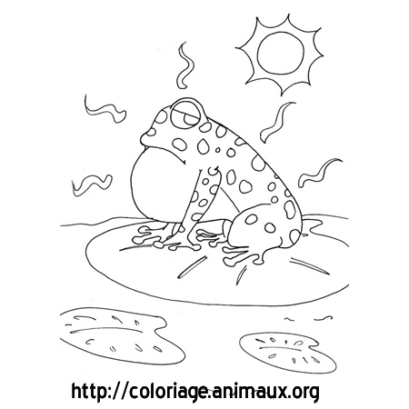 coloriage crapaud a chaud