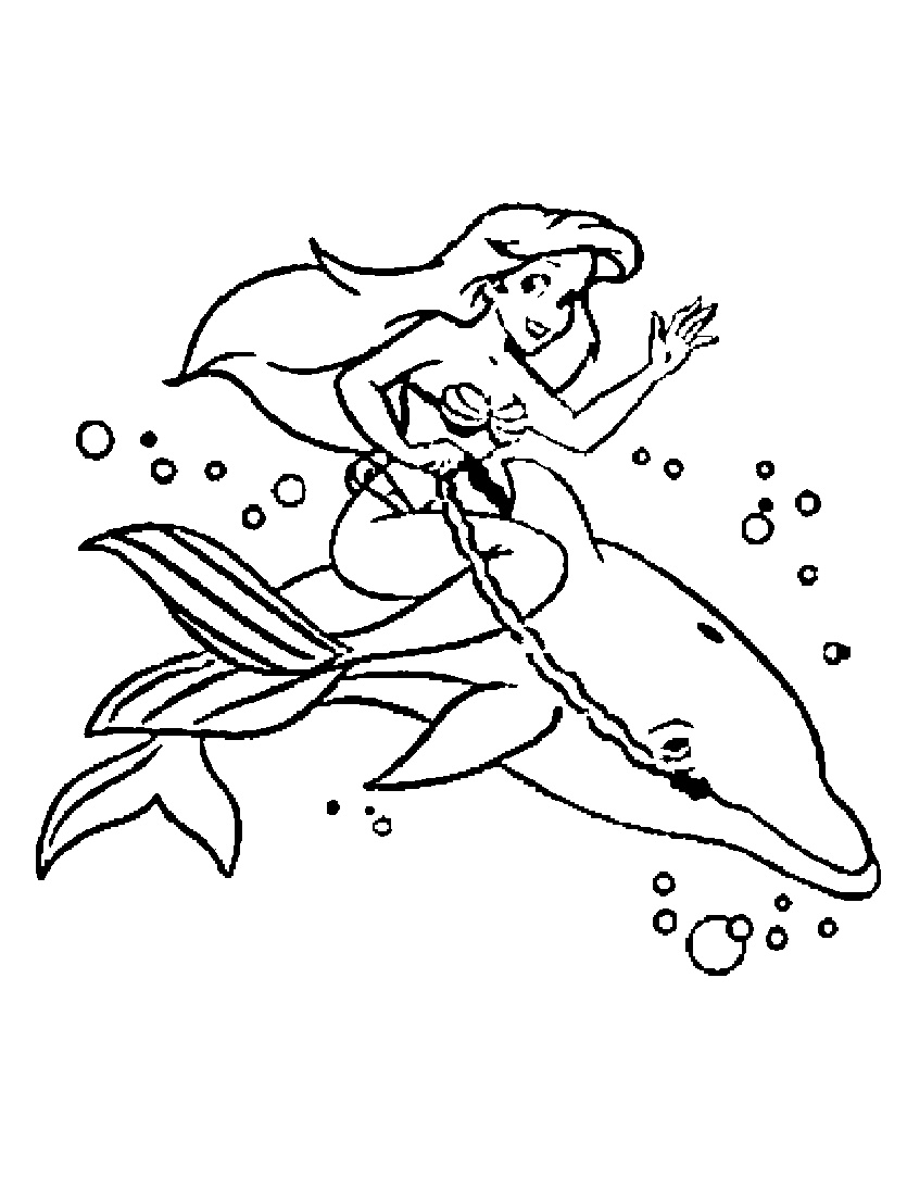 coloriage dauphin