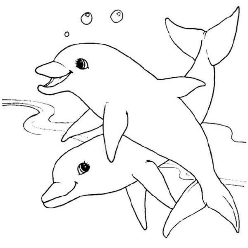 coloriage d un couple de dauphins