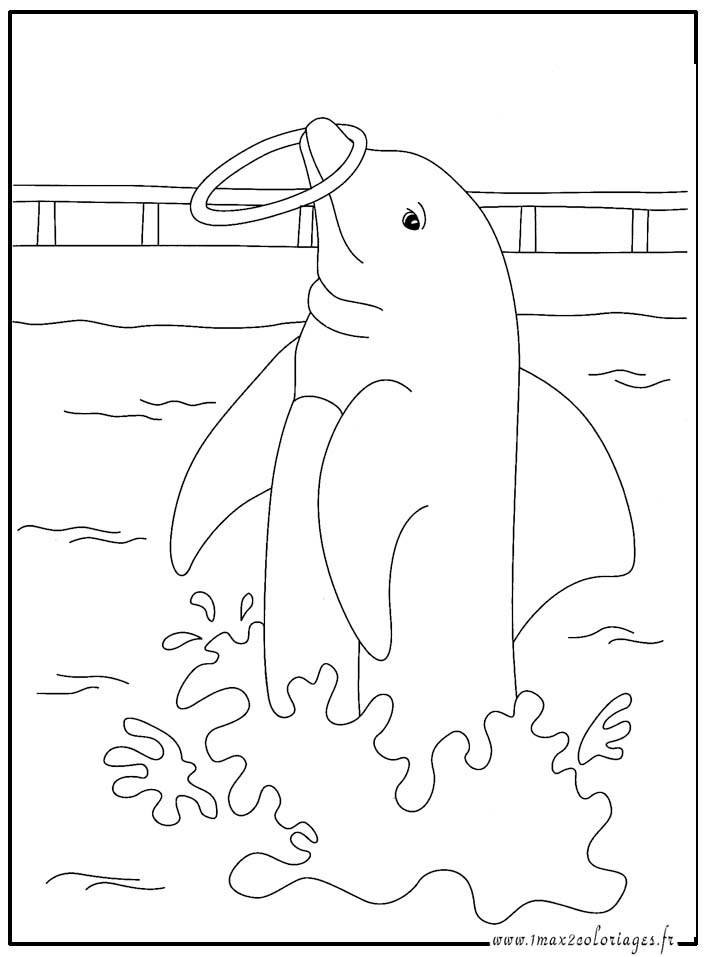 12 attrayant Coloriage Dauphins Collection | COLORIAGE