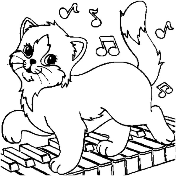 chat musicien coloriage