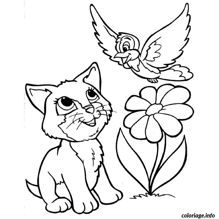 chat oiseau fleur coloriage 2218