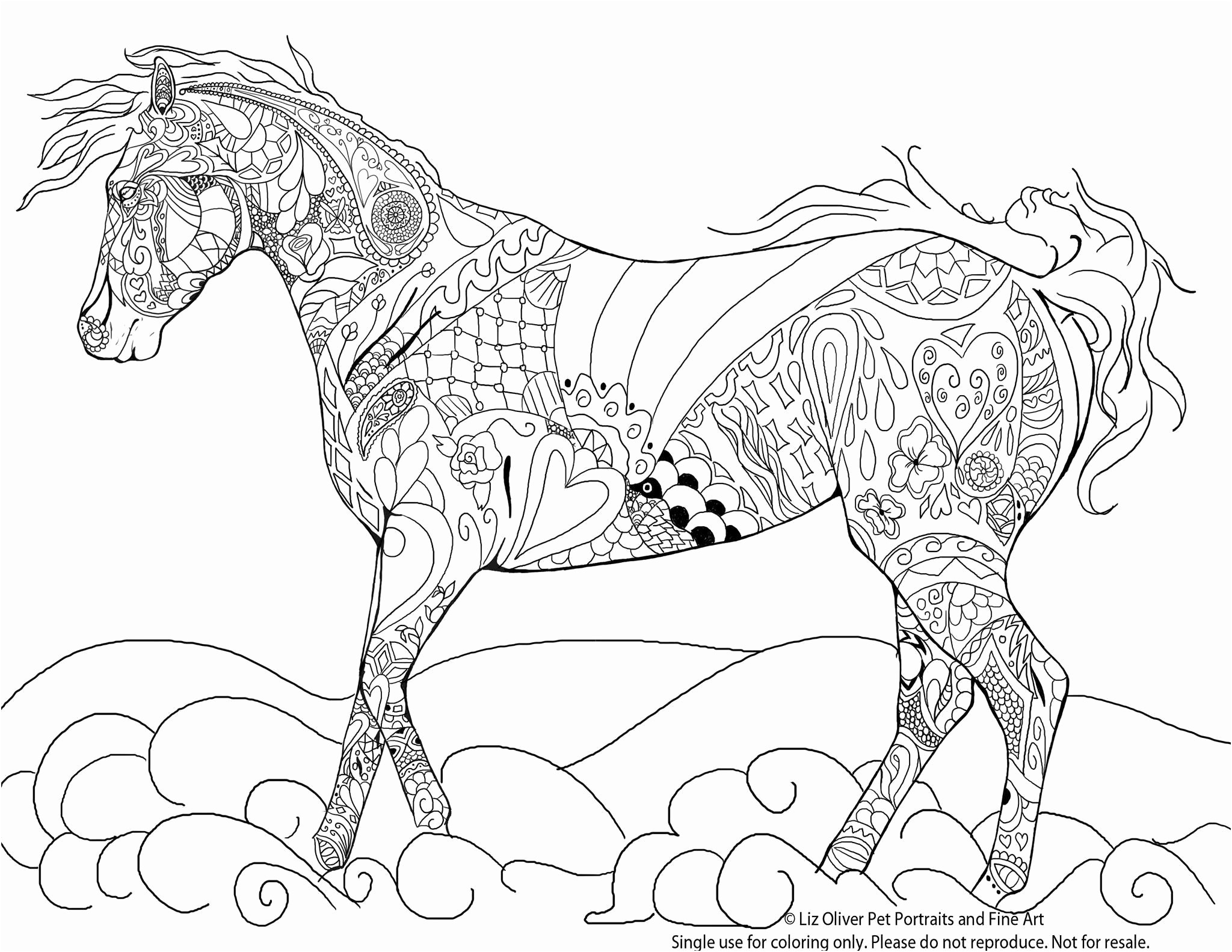 coloriage a imprimer gratuit cheval sauvage