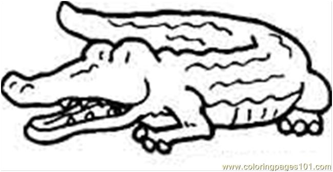aligator 10 coloring page