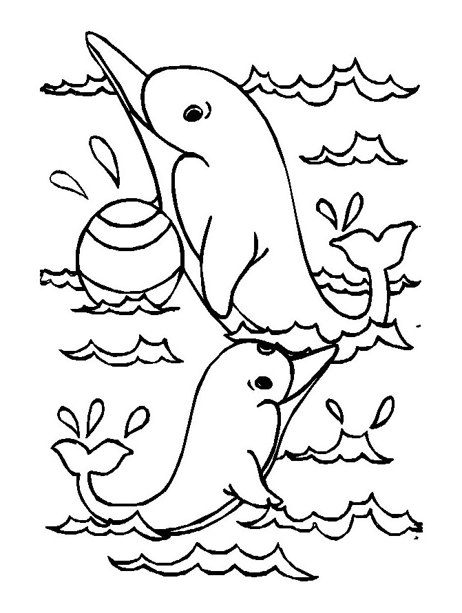 2 image=dauphins coloriage dauphins 11 1
