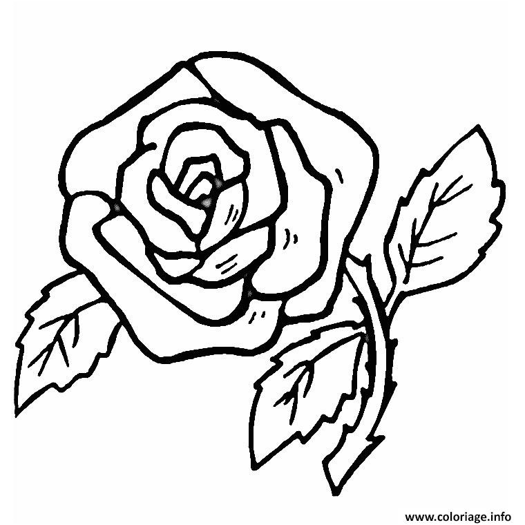 fleur rose simple et facile coloriage