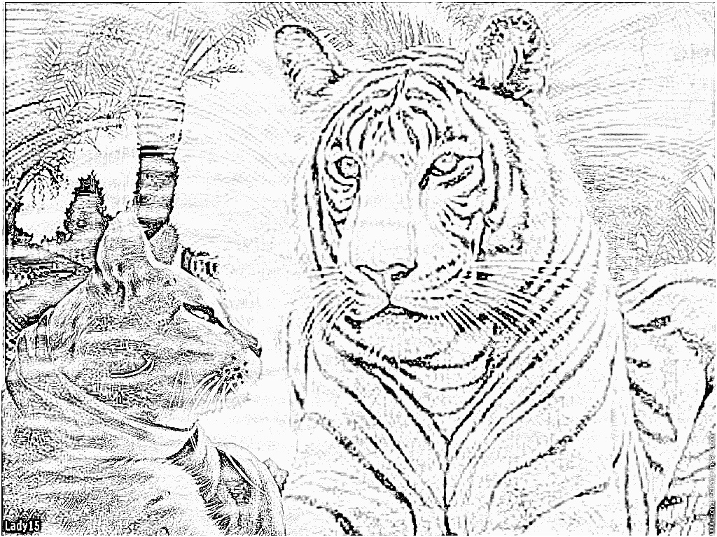 dessin a colorier mandala tigre imprimer