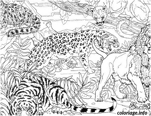 guepard tigre et lion dans la jungle coloriage