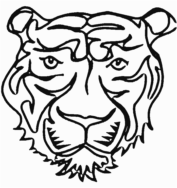 coloriage tigre 0