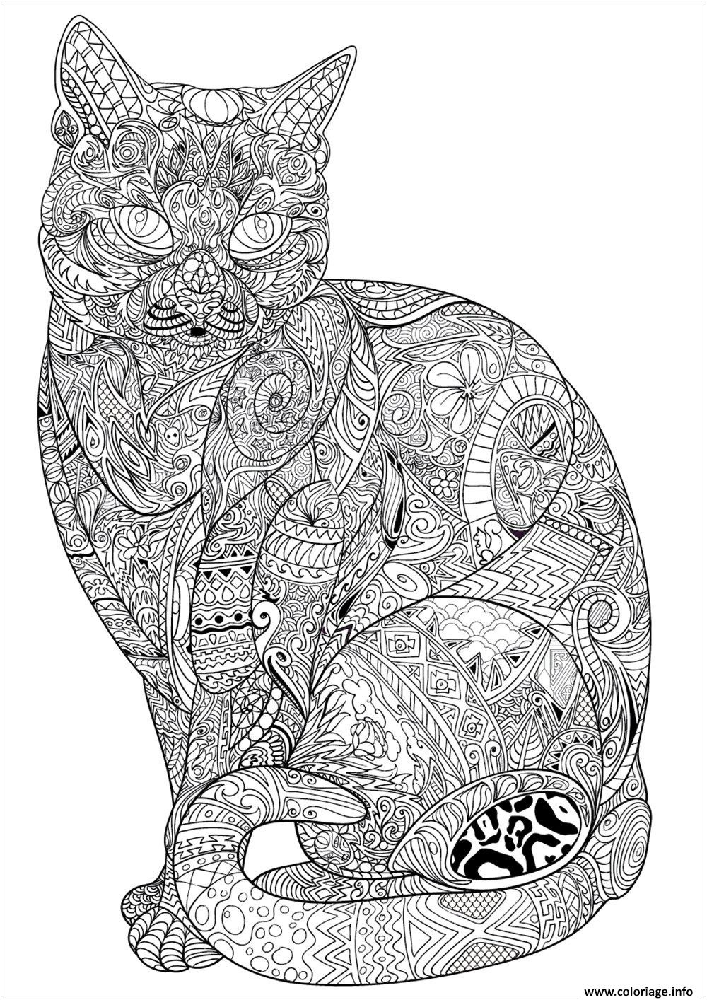 chat adulte difficile antistress animaux coloriage