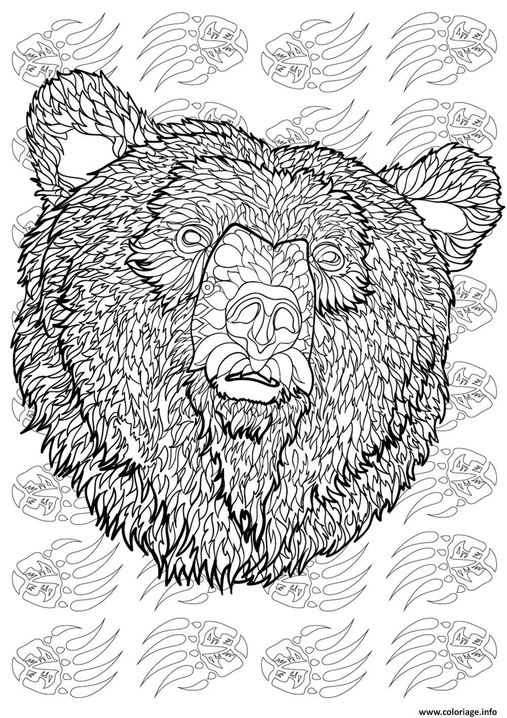 ours adulte animaux antistress difficile coloriage