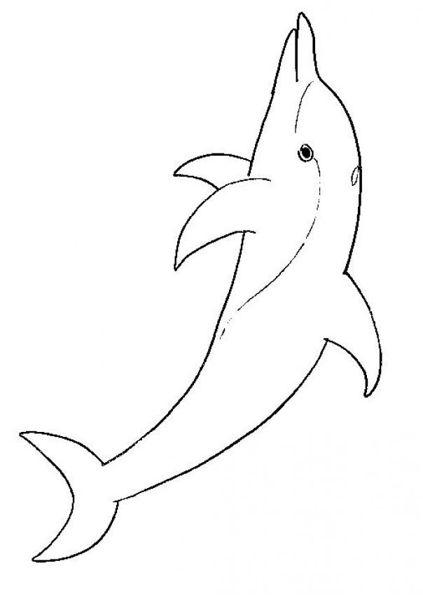 coloriage d un dauphin hors de l eau