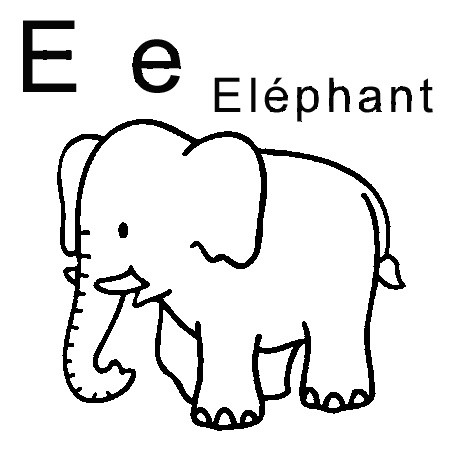 coloriage elephant d inde