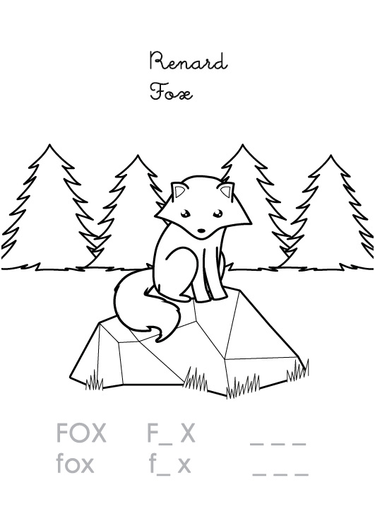 coloriage en anglais fox renard