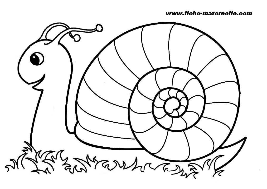 dessin escargot a imprimer