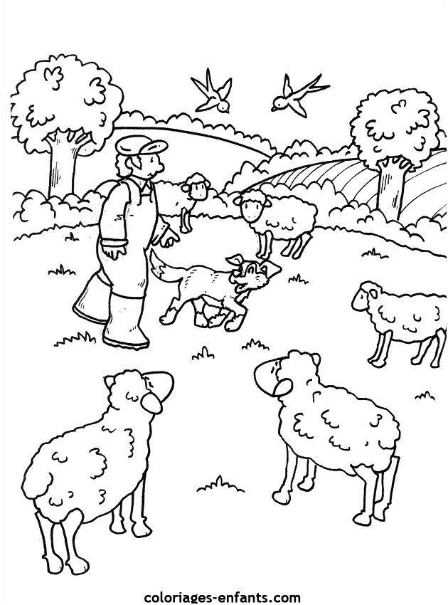dessin animaux de la ferme