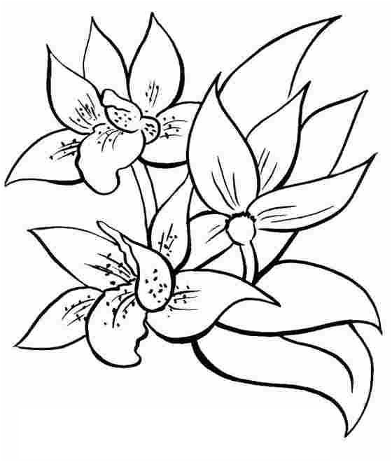 dessin coloriage fleur