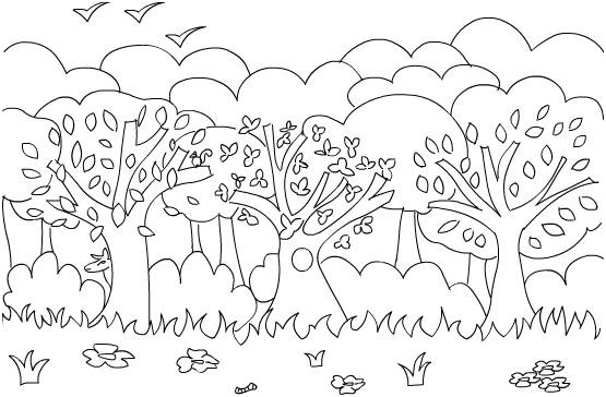 coloriage foret tropicale