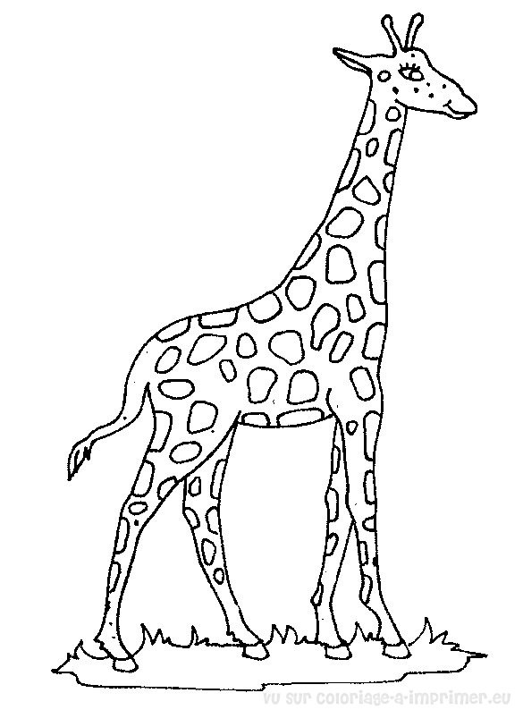 coloriage l coloriage &titre=coloriage &cat=girafe&1cb5915edf2231beb5b2063e37a1abc2=cf