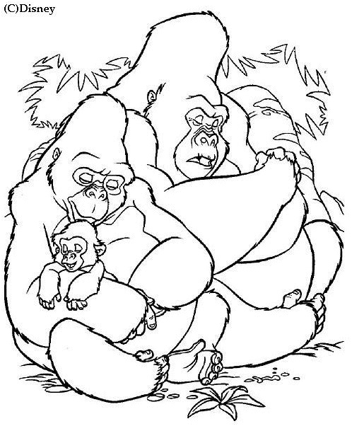 dessin de gorille 8