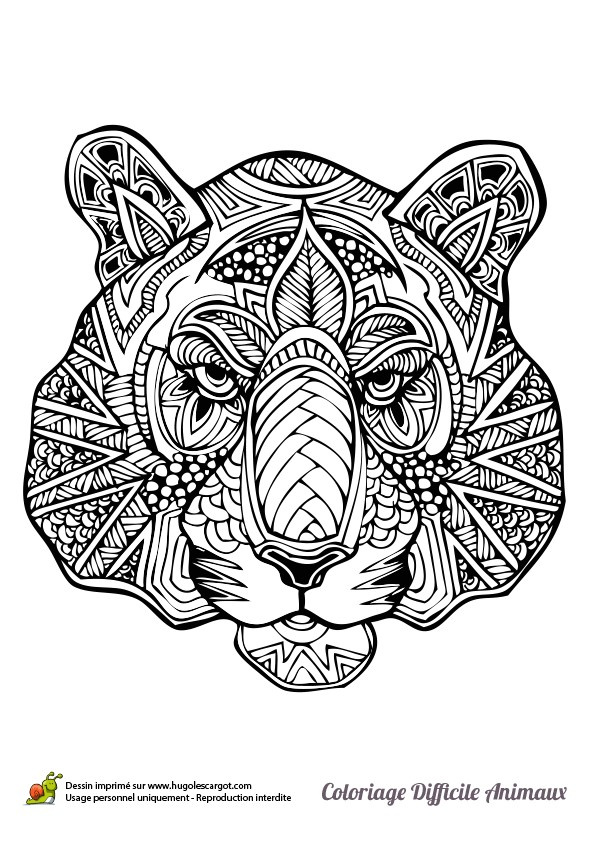 coloriage gorille mandala dessin colorier d une tate de tigre hugolescargot