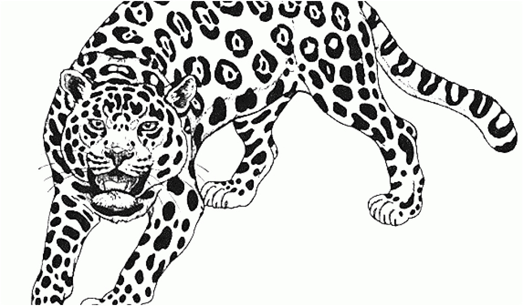 coloriage mandala guepard awesome dessins gratuits colorier coloriage guepard imprimer