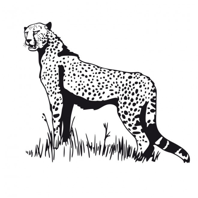 guepard maternelle 9792