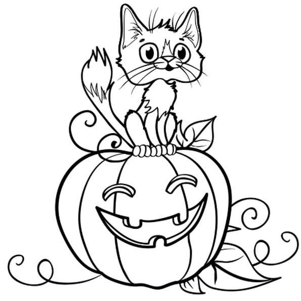 halloween chat coloriage