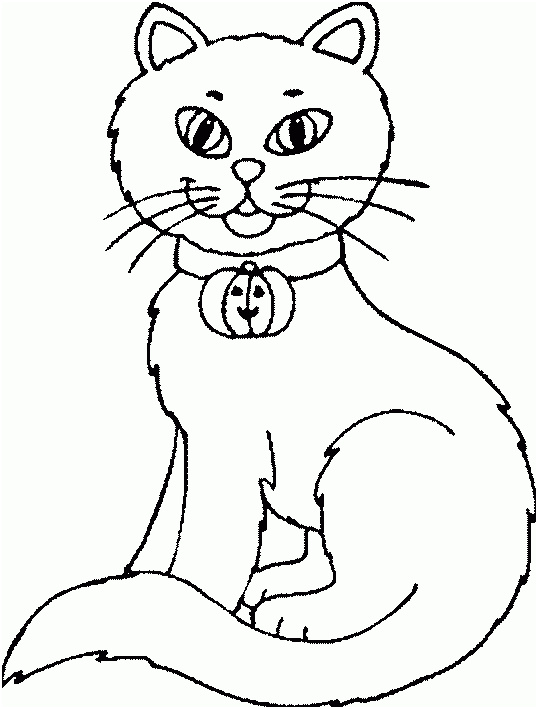 dessin de chat