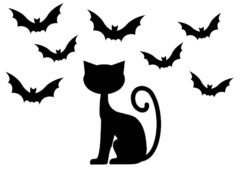 le chat noir dhalloween