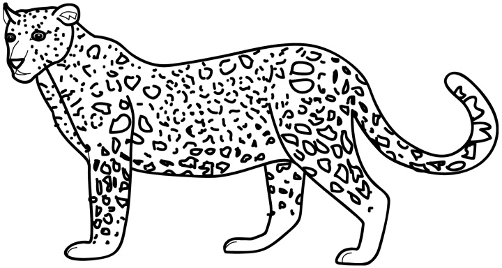 jaguar dessin