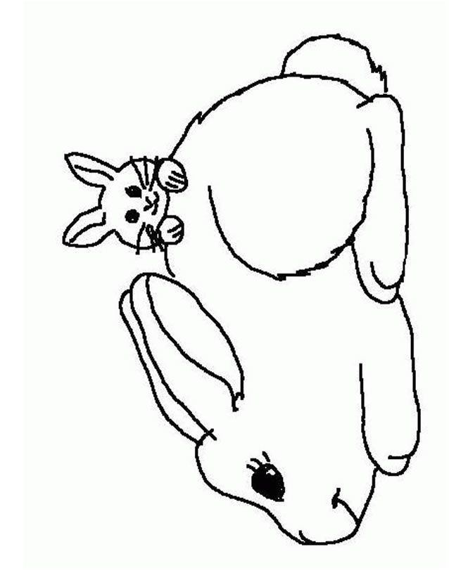 coloriage lapin