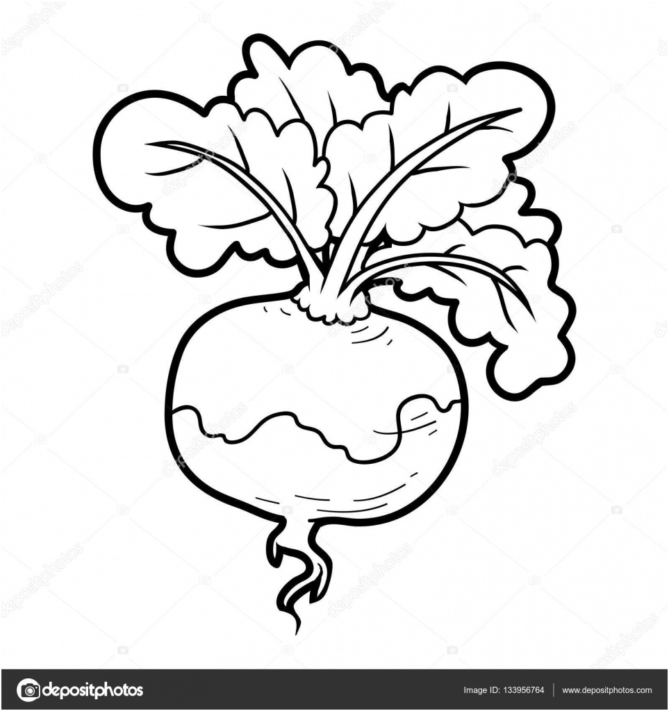 stock illustration coloring book ve ables turnip