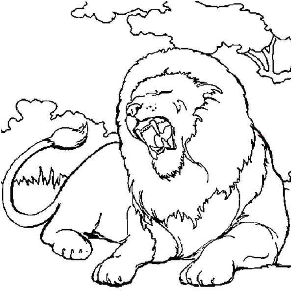 lion coloriage