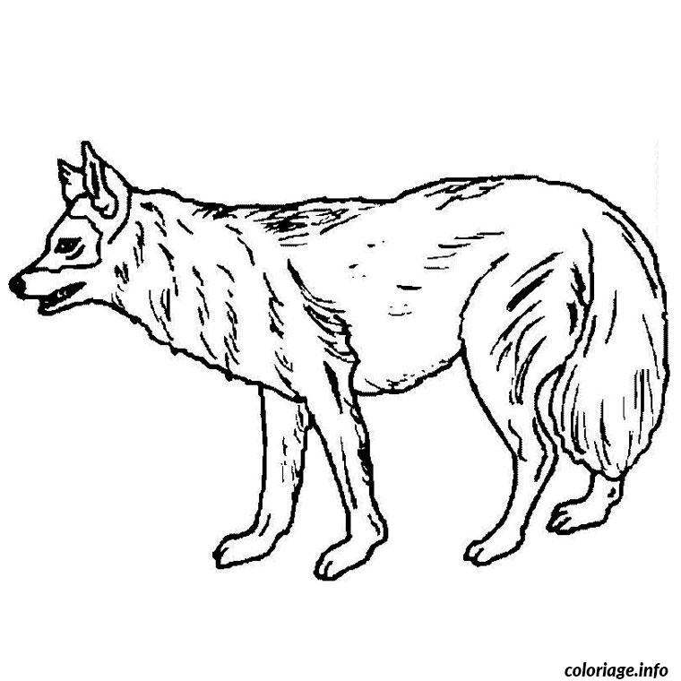 chien loup coloriage 2190