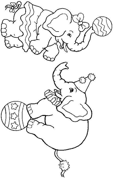 coloriage elephant cirque