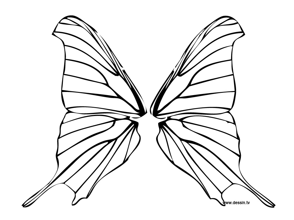 coloriage chenille papillon