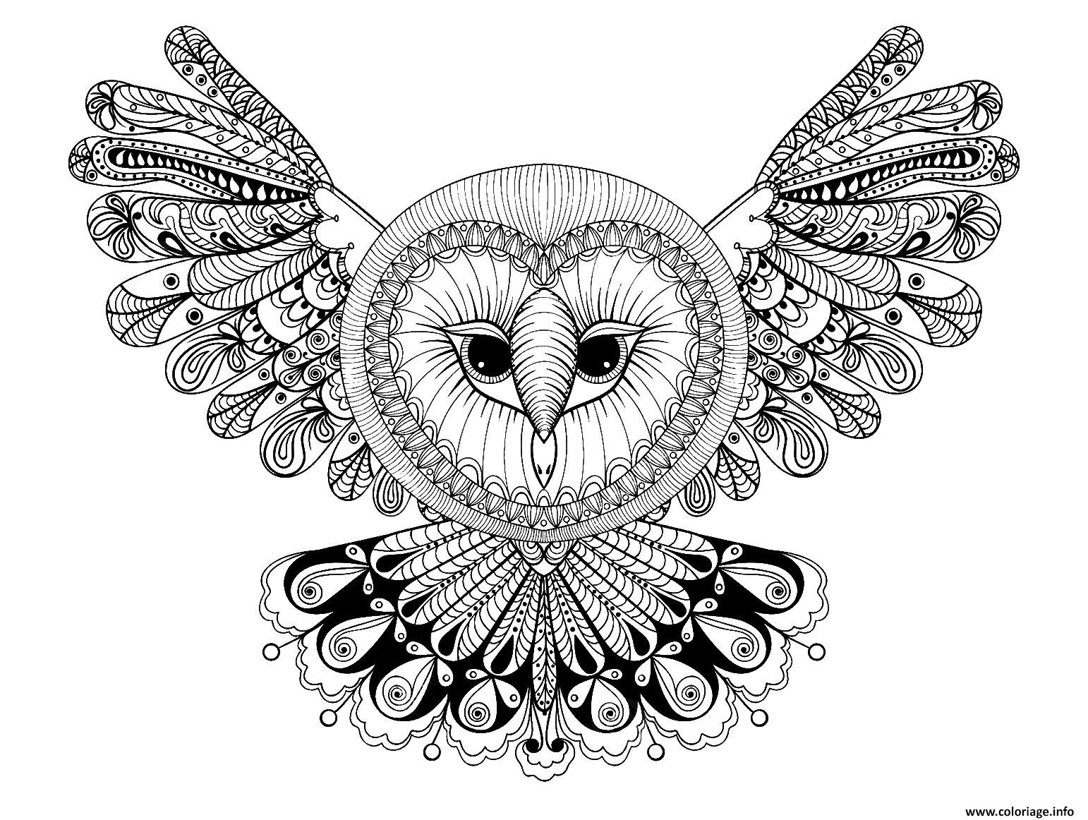 hibou avec grande tete forme mandala adulte animaux coloriage