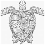 70 coloriage mandala animaux tortue