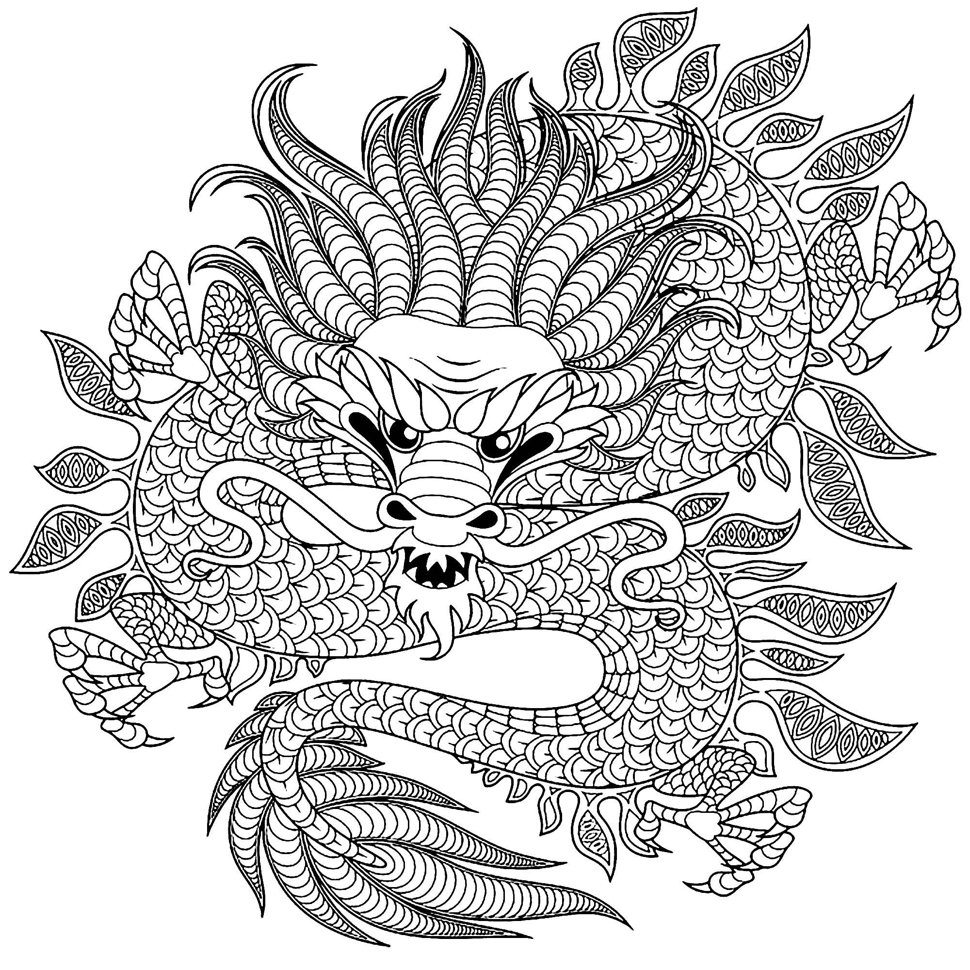 image=dragons coloriage dragon circulaire 1