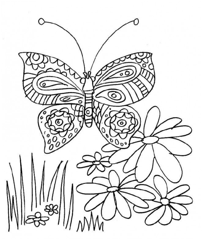 papillon et fleur