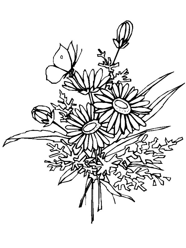 bouquet de fleur marguerite