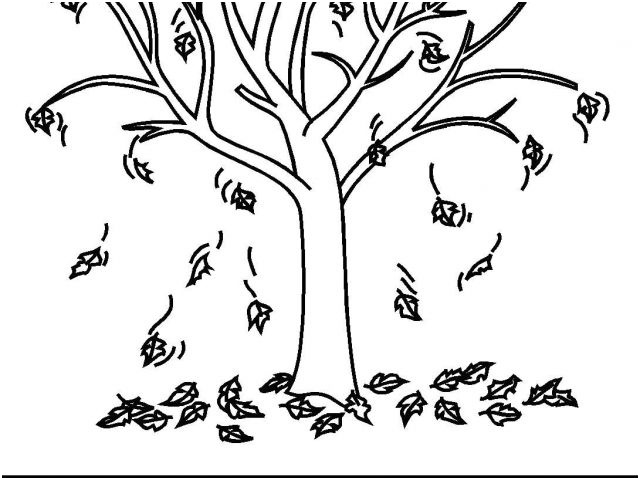 coloriage arbre d automne maternelle coloriage arbres les beaux dessins de nature imprimer et