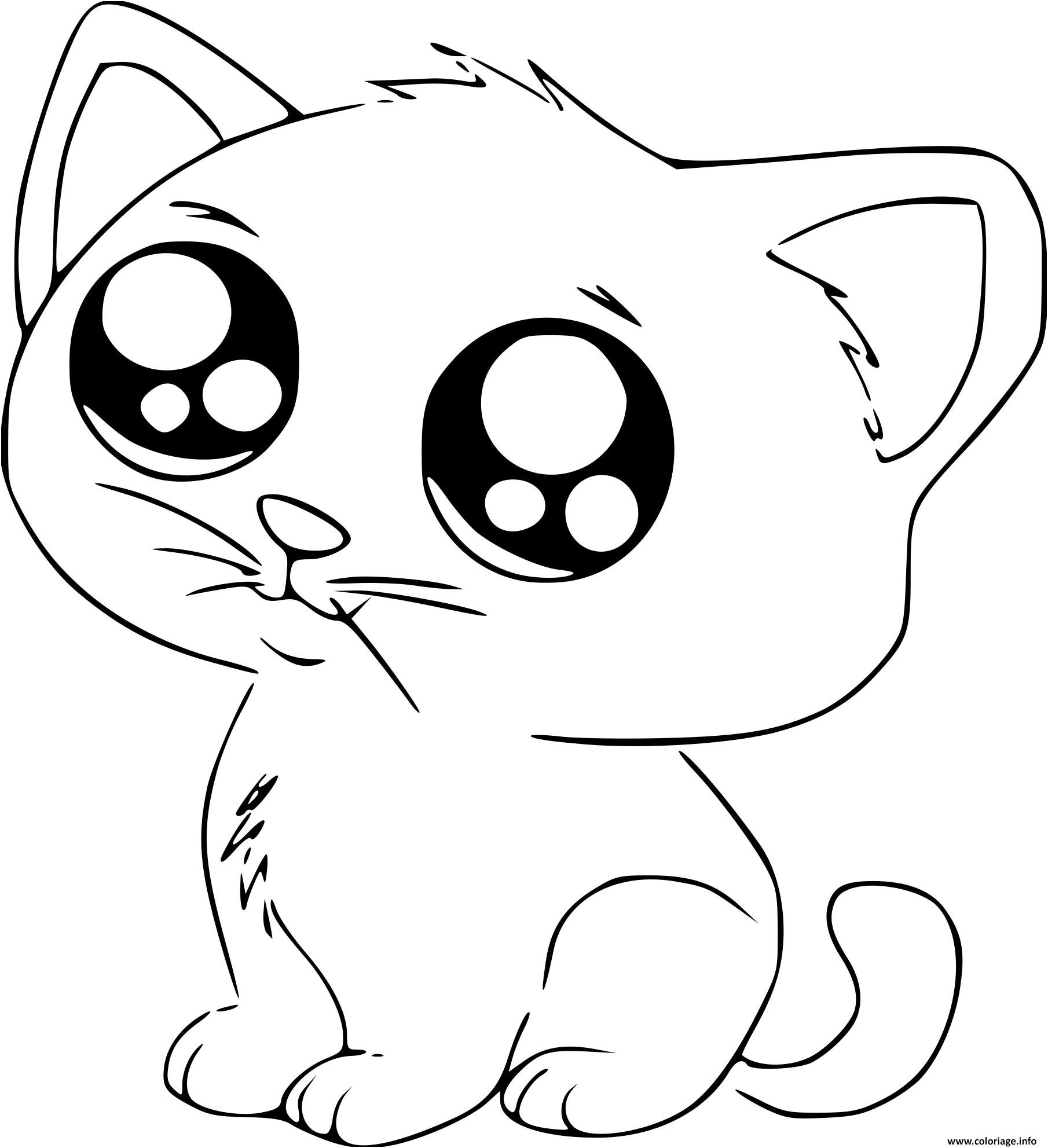 chat manga cute mignon coloriage