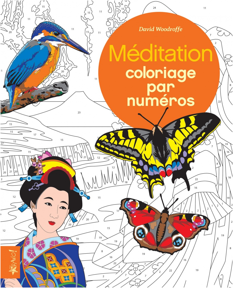 meditation coloriage par numero david woodroffe